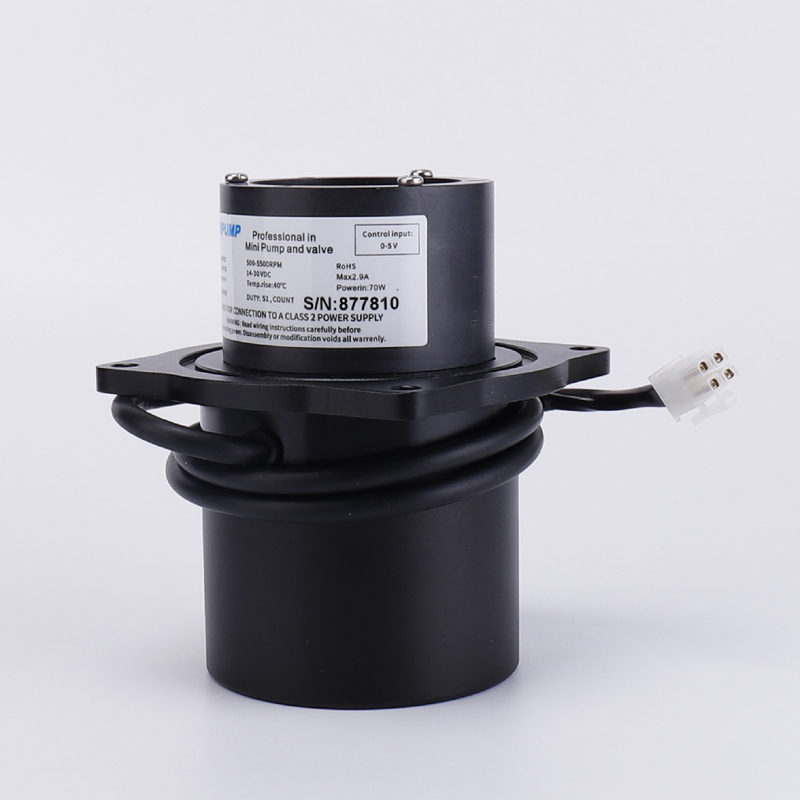 DM36610-PP0019 Long Motor for Domino A Series Pump