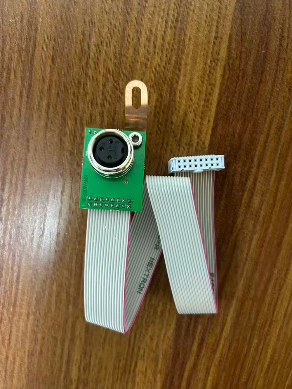 SP500098 Board Wiring Assembly